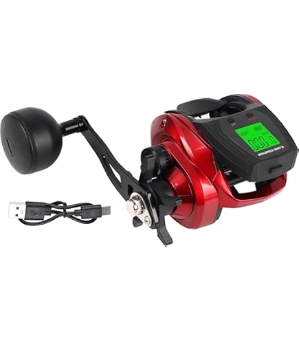 Amazon | プロマリン(PRO MARINE) ベイトリール チェッカー船 4号-200M